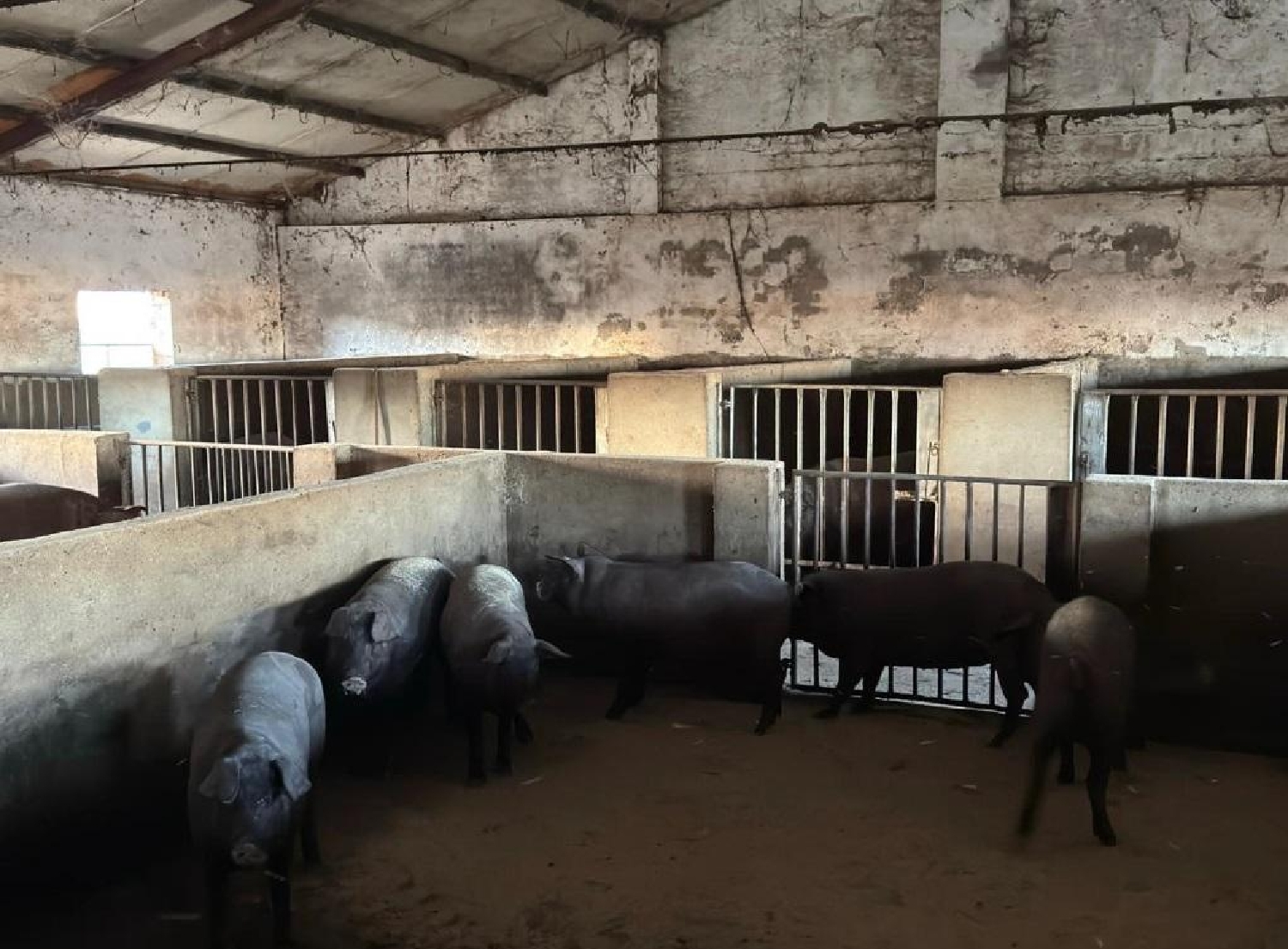  till salu tomt Valladolid Arzúa 7