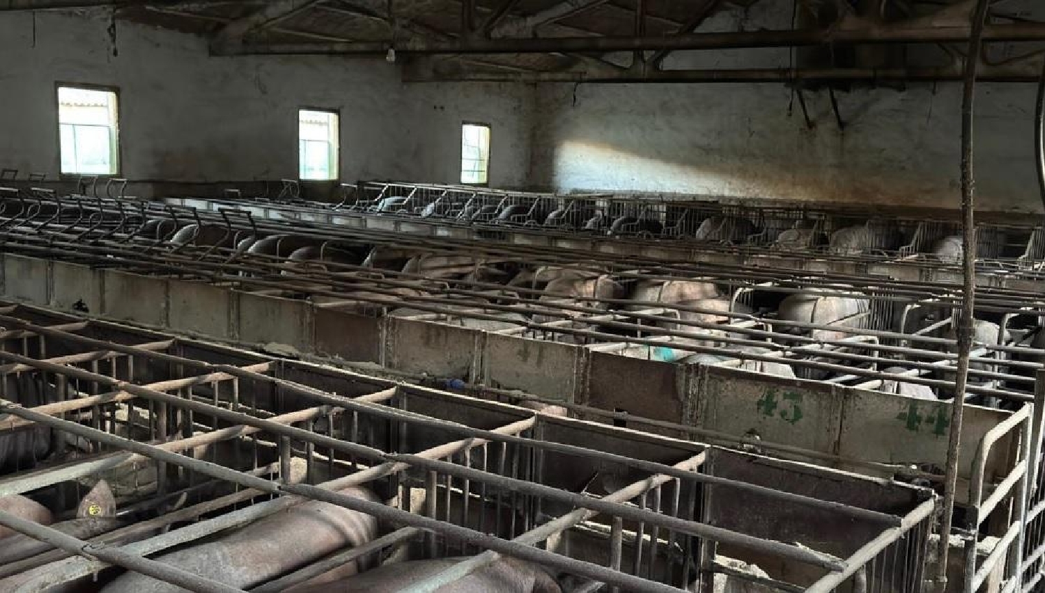  till salu tomt Valladolid Arzúa 2