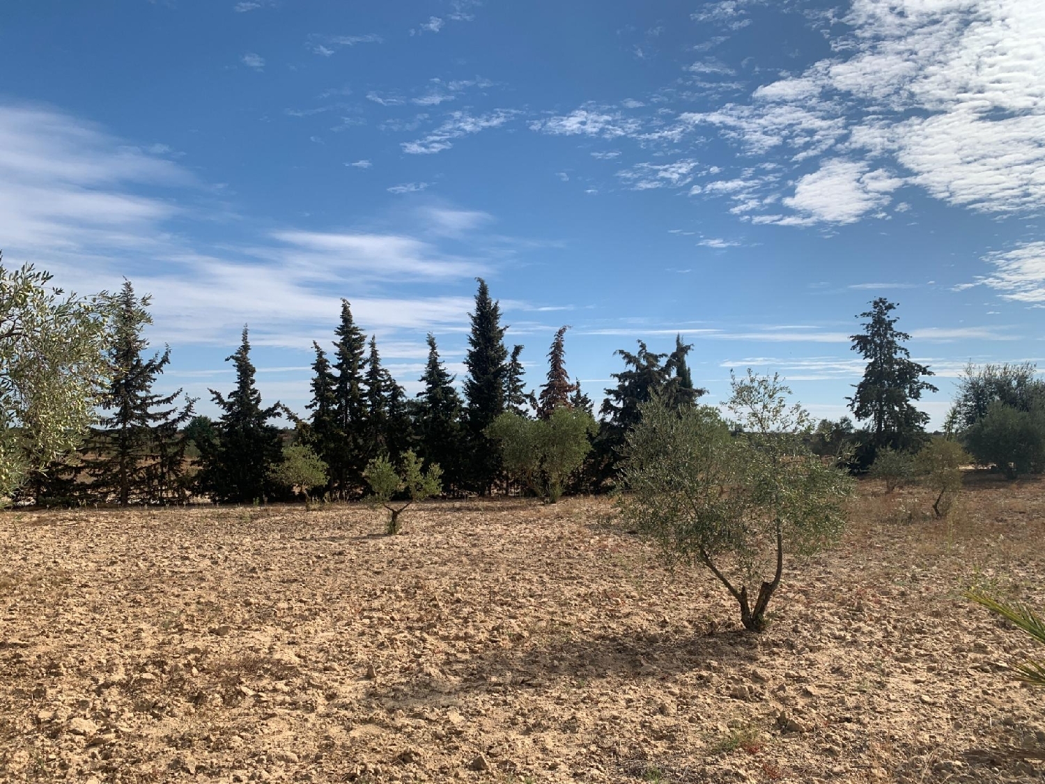 till salu tomt Villalba Del Alcor Condado (El) 1