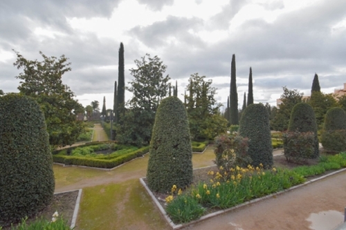 Barrio De Granada Alacantí commercial premise foto 6323038