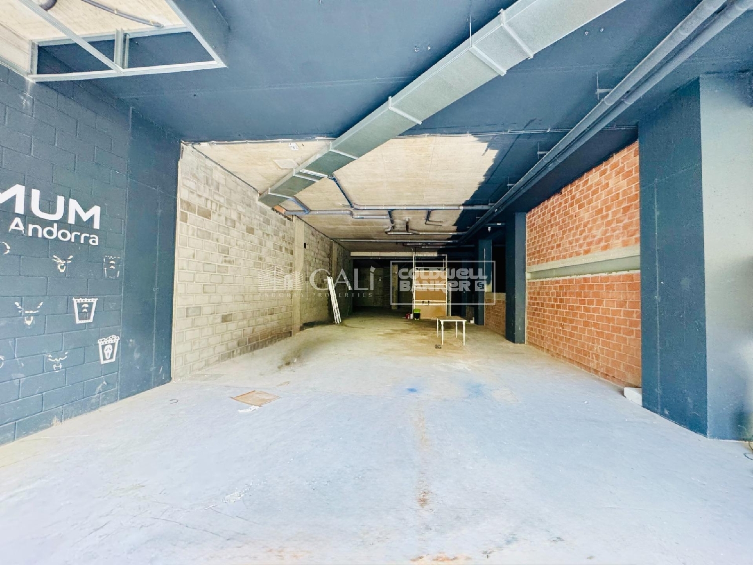  te koop bedrijfsruimte Escaldes-Engordany Escaldes-Engordany 6