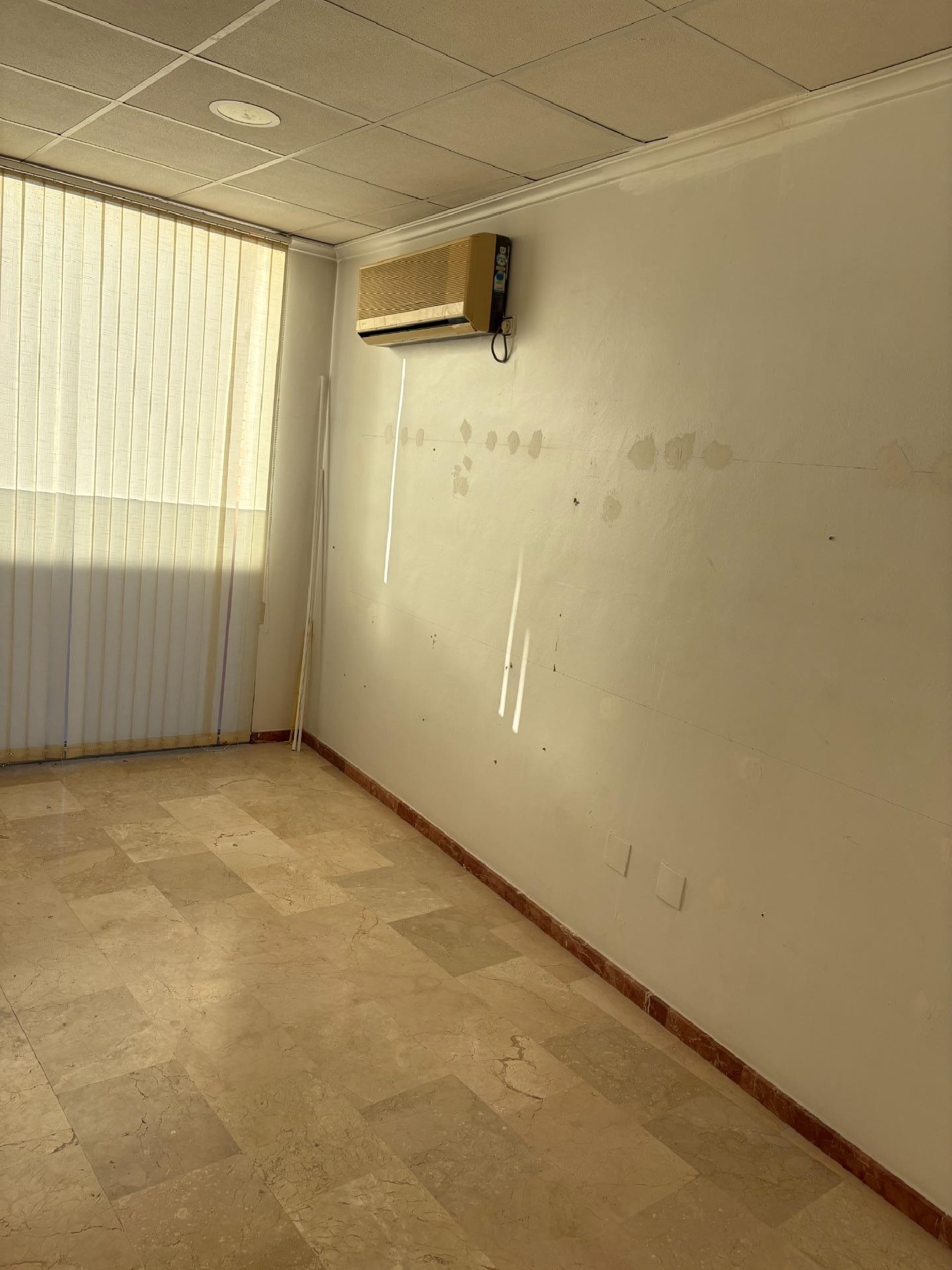 for sale commercial premise Las Torres De Cotillas Vega Media Del Segura 6