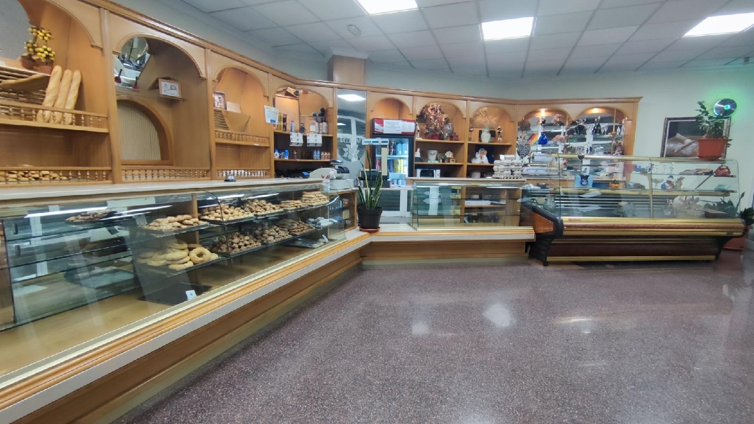 till salu lokal San Vicente Del Raspeig Alacantí 1