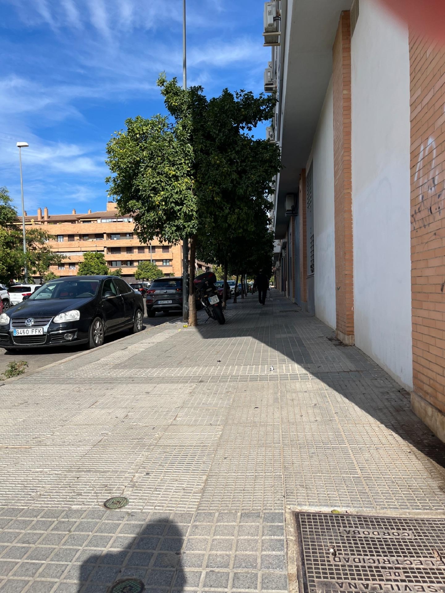 till salu lokal Villafranca De Córdoba Alto Guadalquivir 4