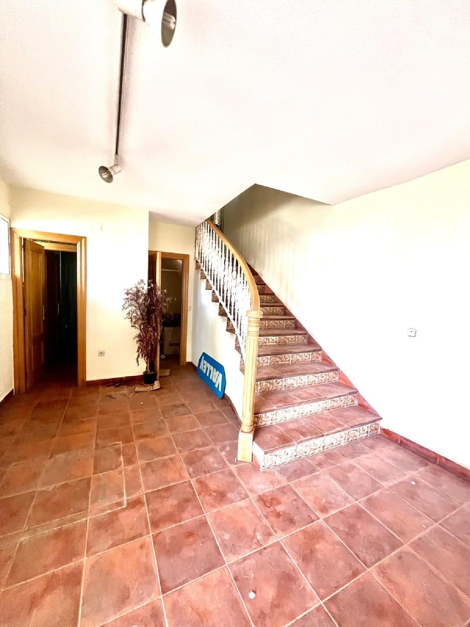 till salu butik Albacete Centro 02002 Llanos De Albacete 3