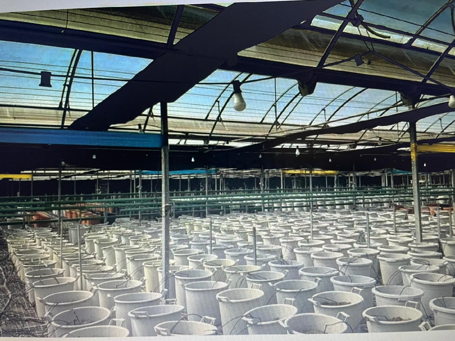 till salu butik Palafolls Maresme 1