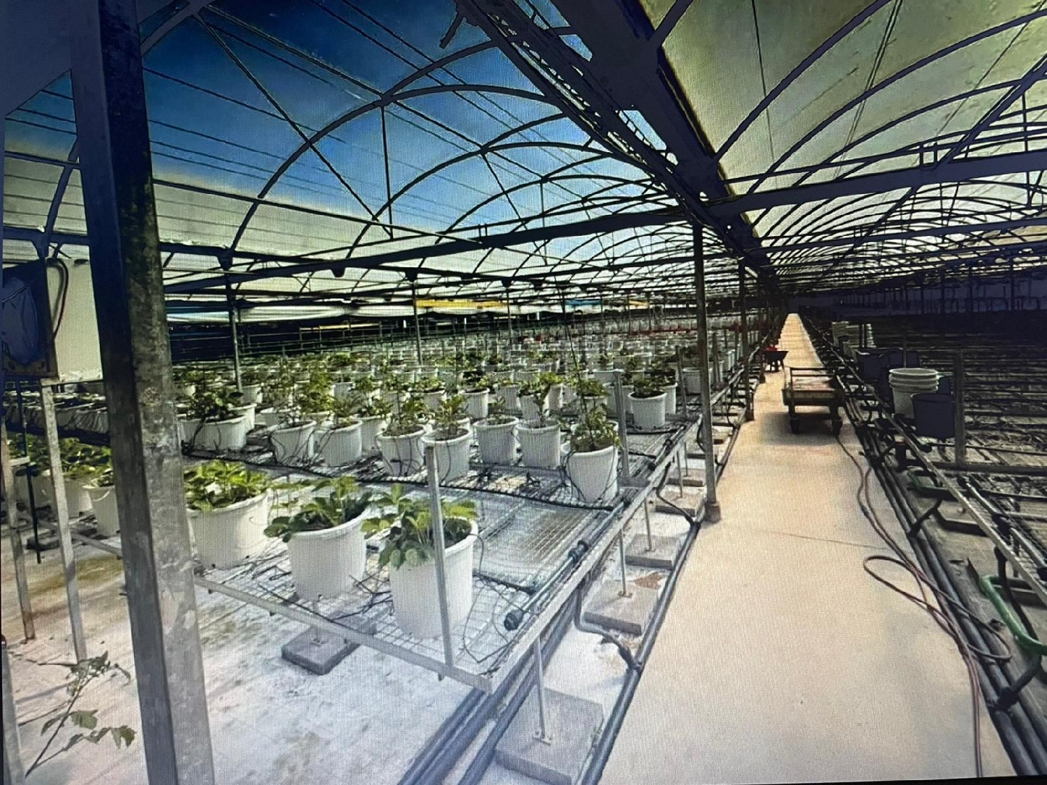 till salu butik Palafolls Maresme 6