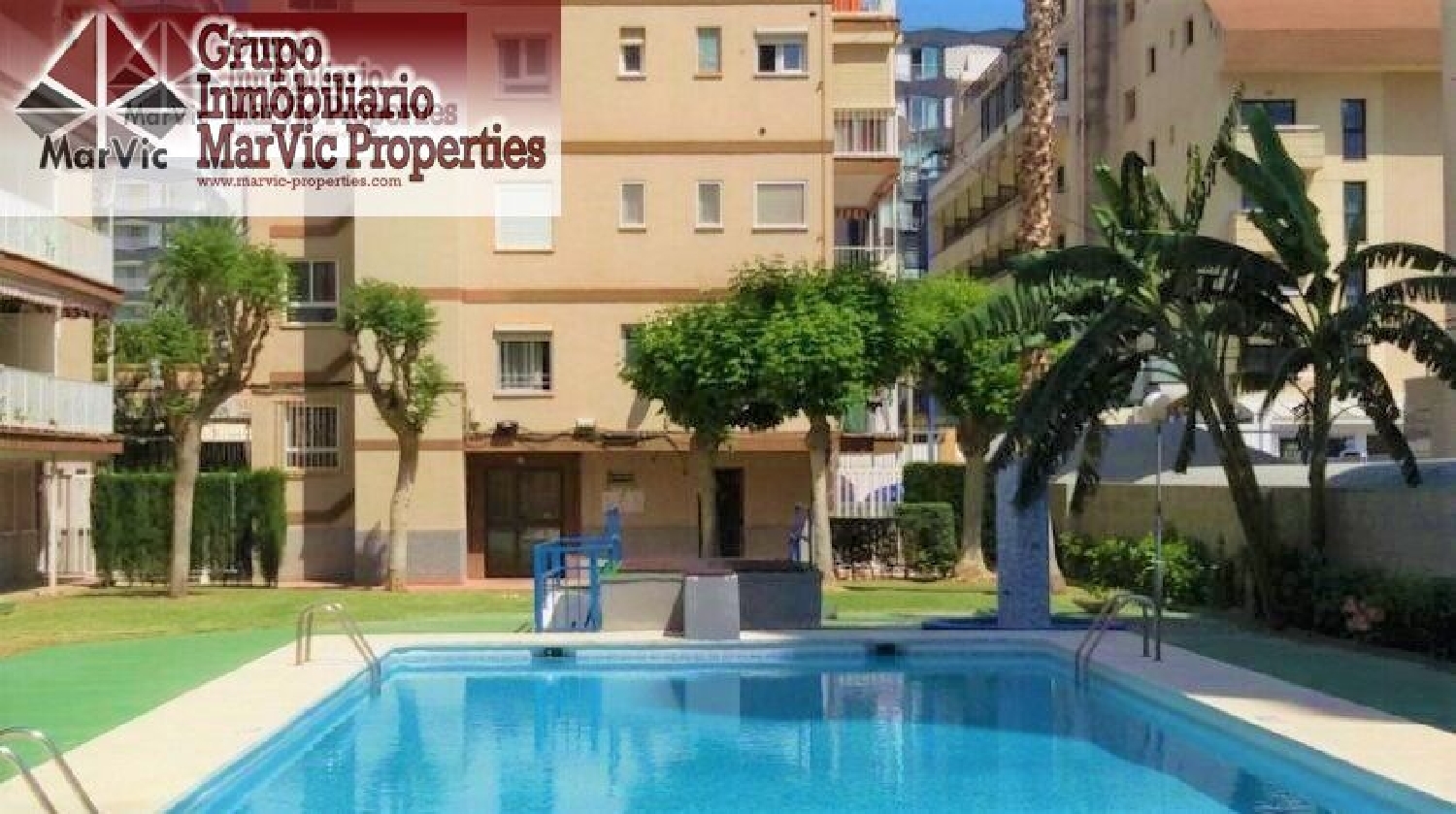 kaufen Einzimmerwohnung Benidorm (Centro) Marina Baixa 2