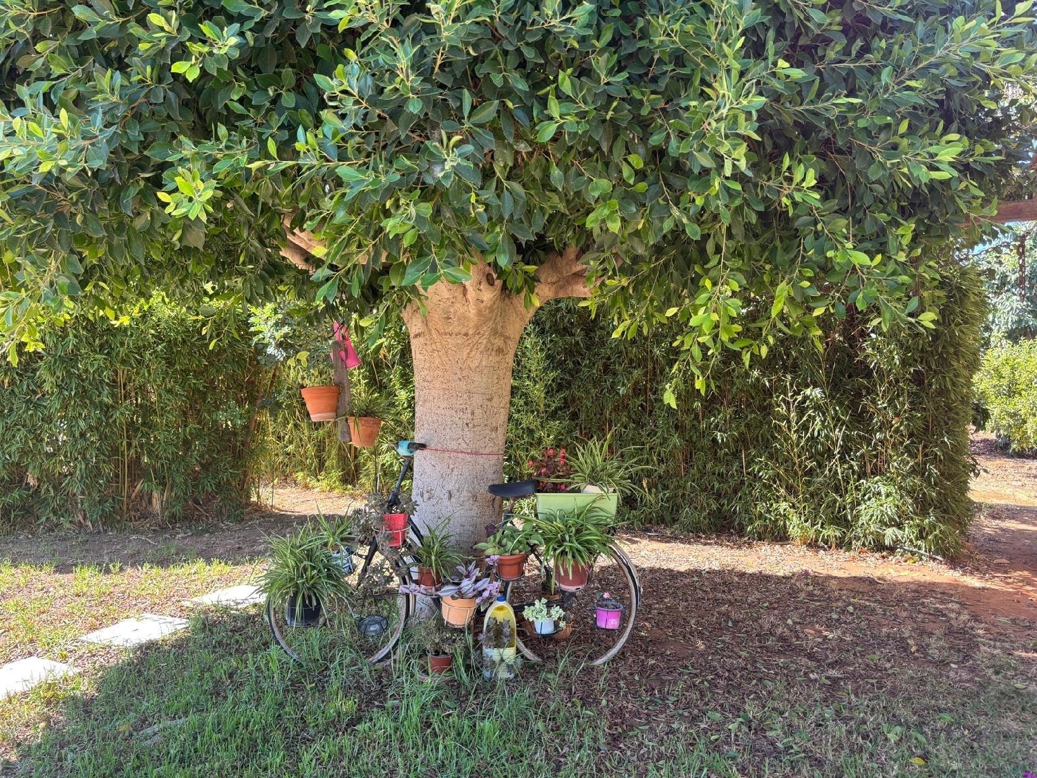  en venta chalet Alhaurín El Grande Valle Del Guadalhorce 7