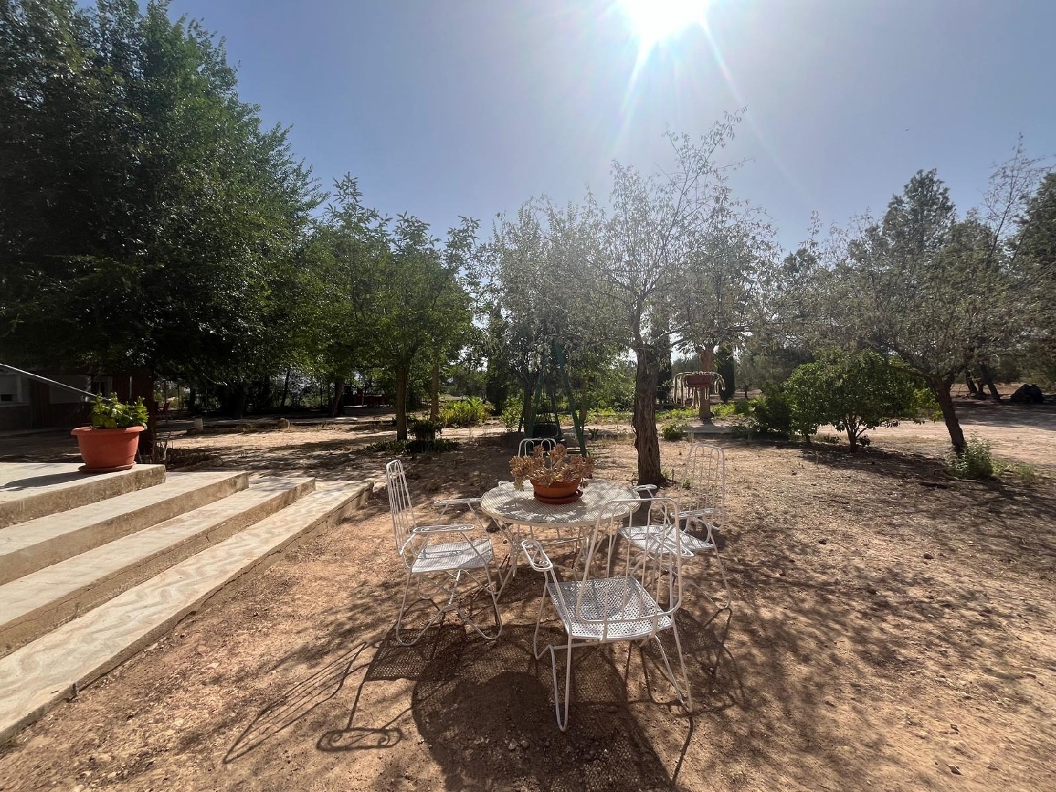  en venta chalet Almansa Monte Ibérico Almansa 6