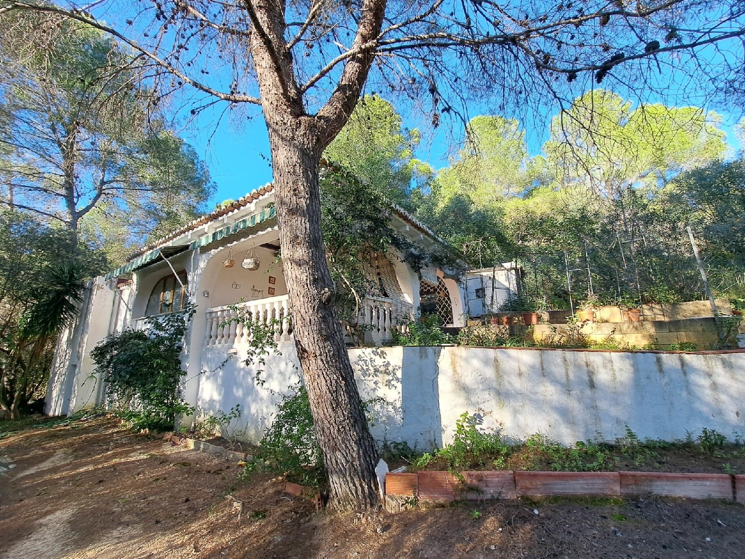 à vendre villa Alzira Ribera Alta 4