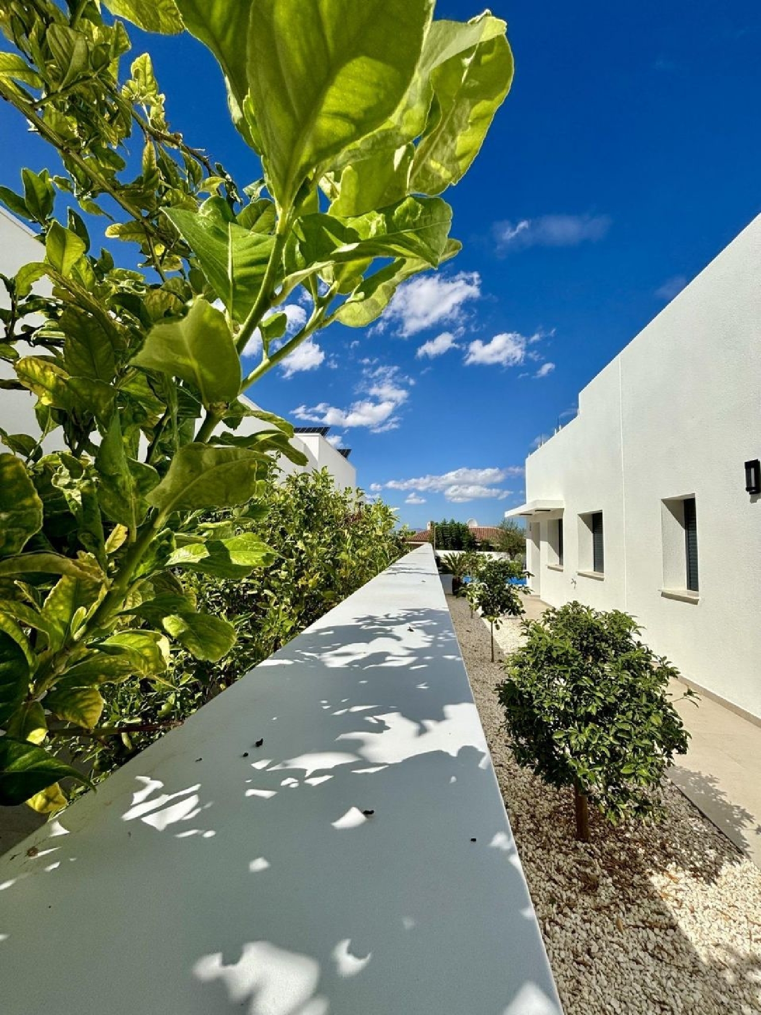  à vendre villa Benijófar Baix Segura 6