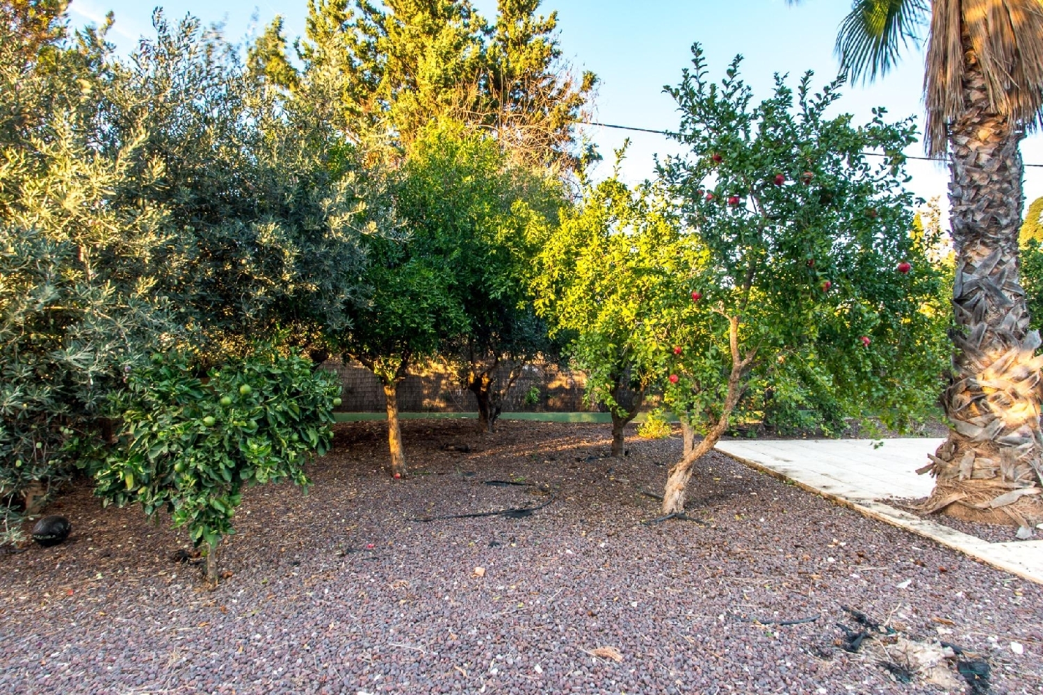 for sale villa Molina De Segura Vega Media Del Segura 7