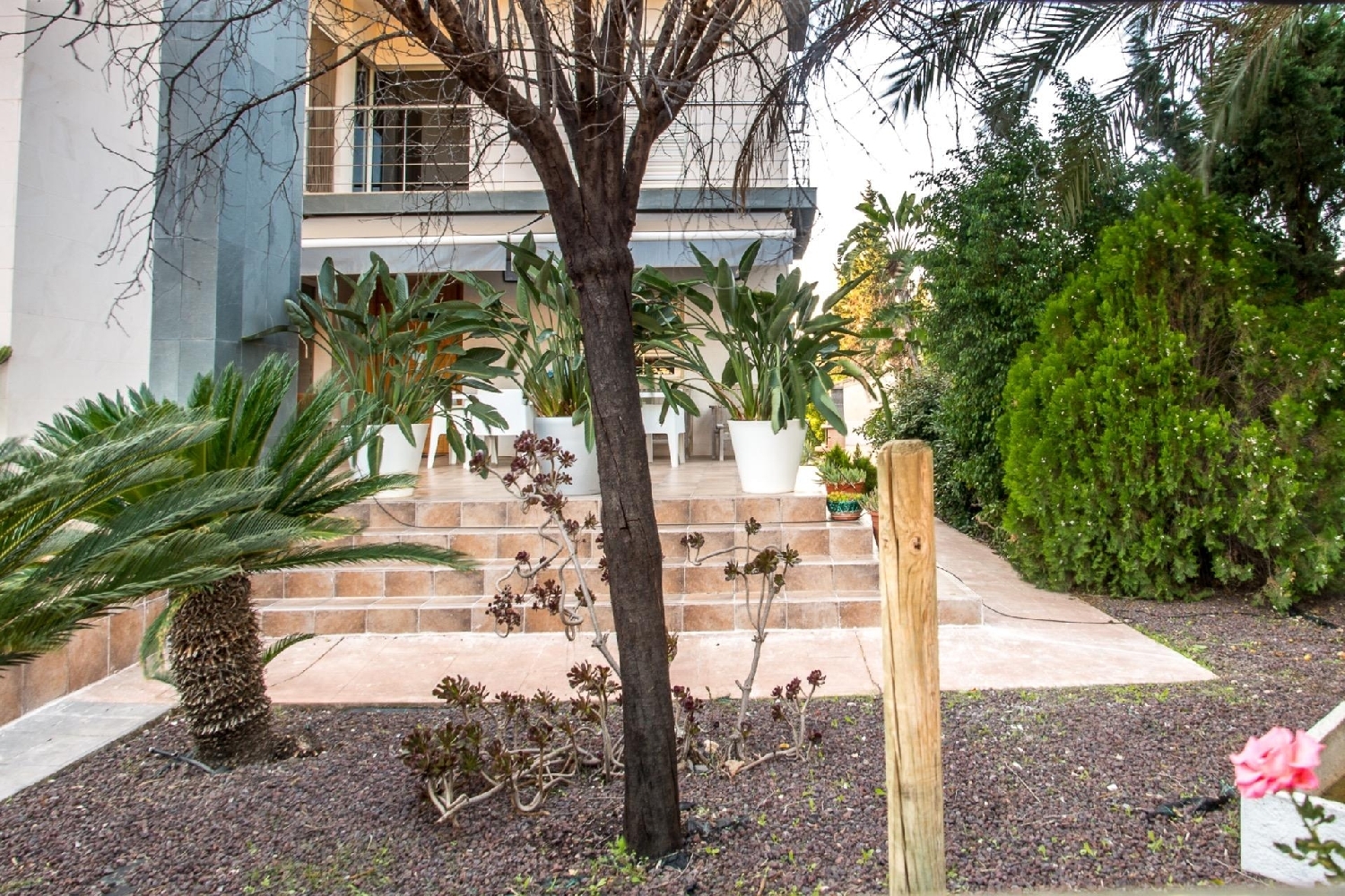 for sale villa Molina De Segura Vega Media Del Segura 2