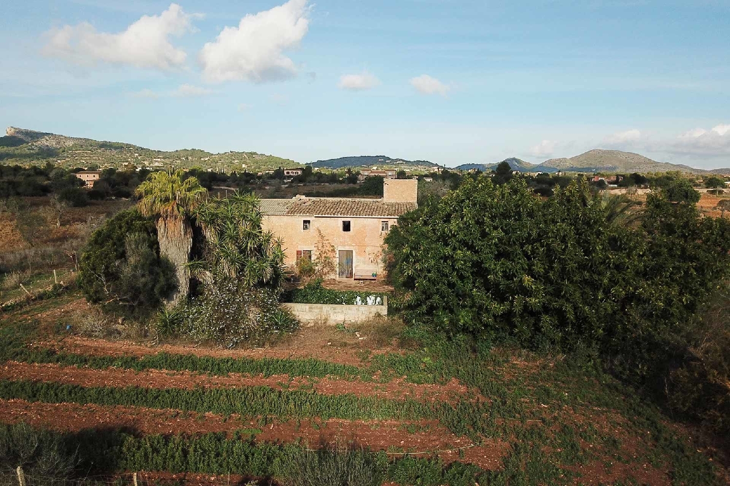 à vendre maison de campagne Cala Murada Llevant 8