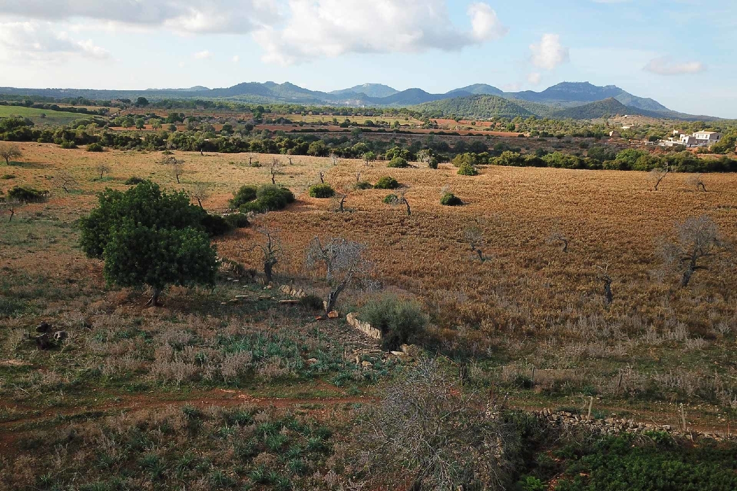 à vendre maison de campagne Cala Murada Llevant 10