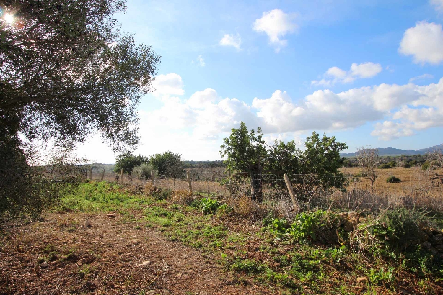 à vendre maison de campagne Cala Murada Llevant 3