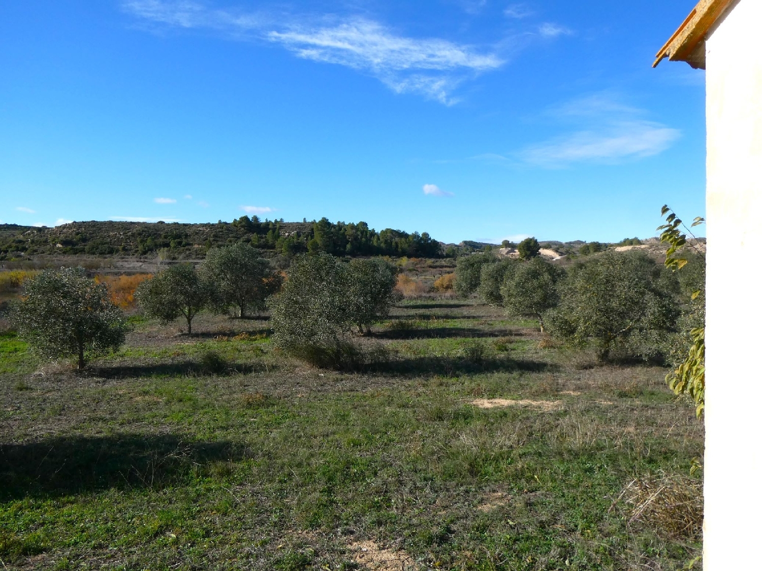  te koop boerderij Fabara Bajo Aragón-Caspe 10
