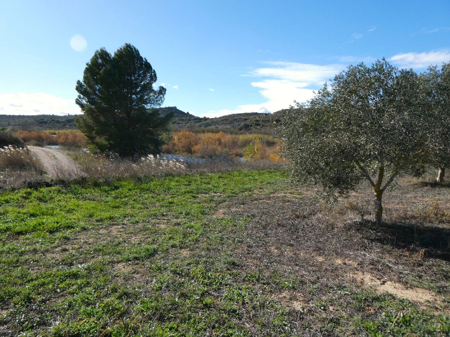  te koop boerderij Fabara Bajo Aragón-Caspe 4