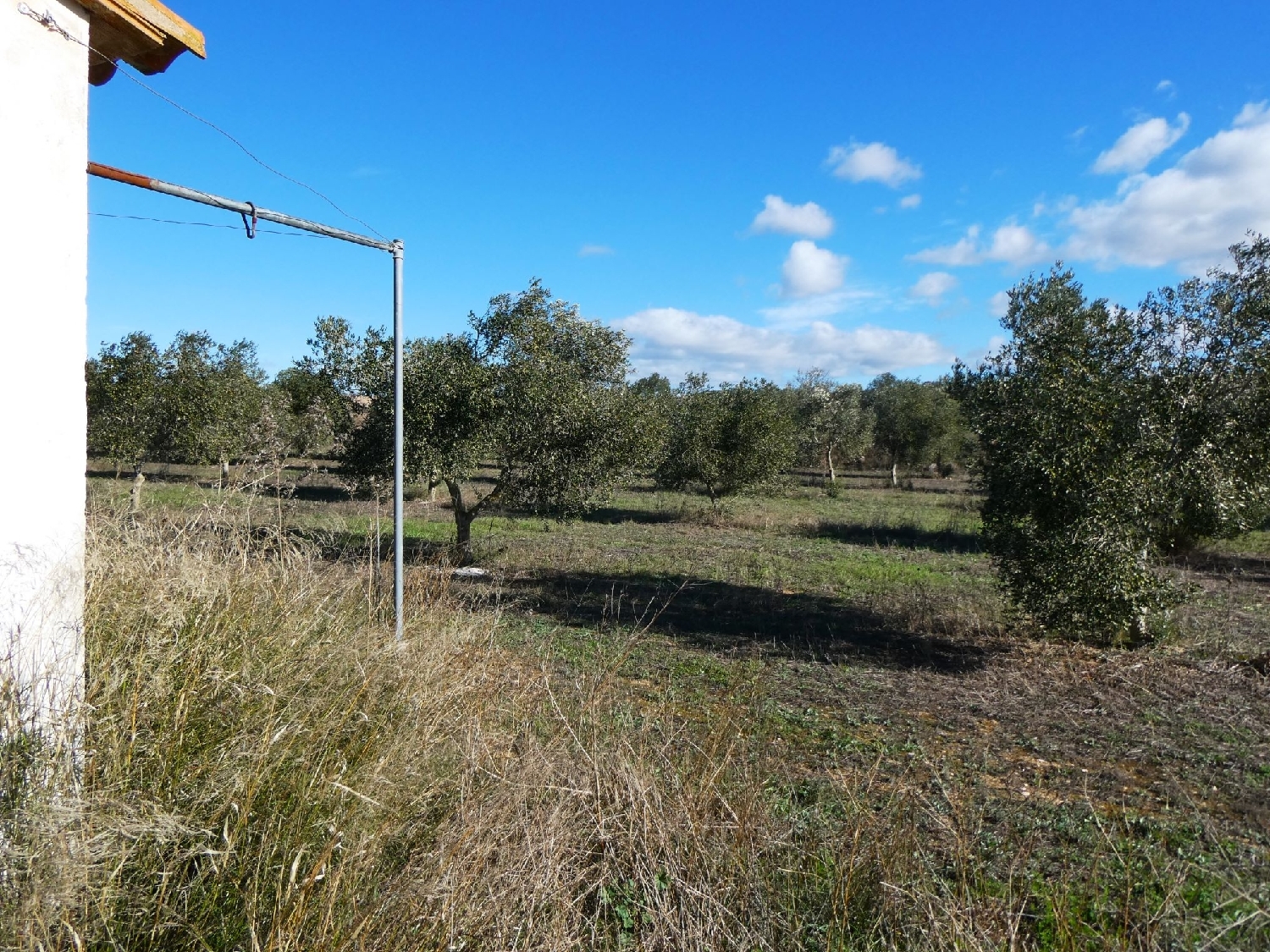  te koop boerderij Fabara Bajo Aragón-Caspe 13