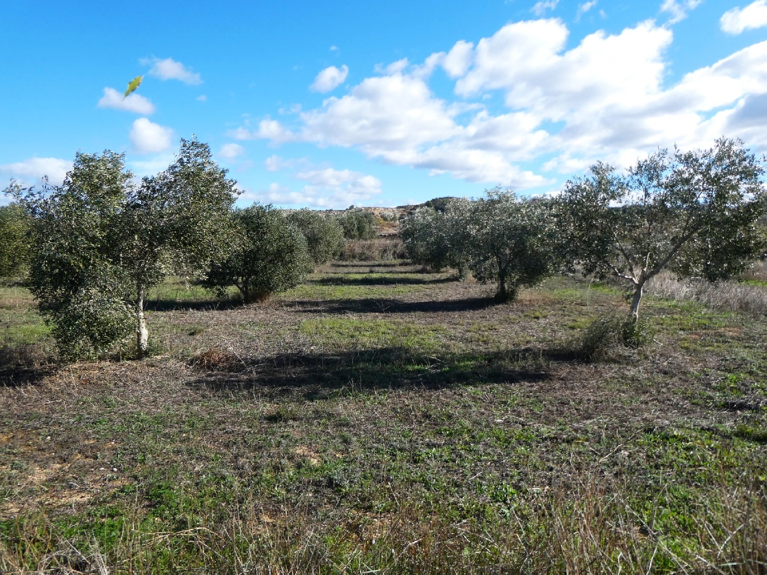  te koop boerderij Fabara Bajo Aragón-Caspe 14