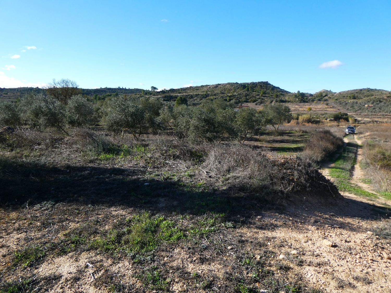 te koop boerderij Fabara Bajo Aragón-Caspe 12
