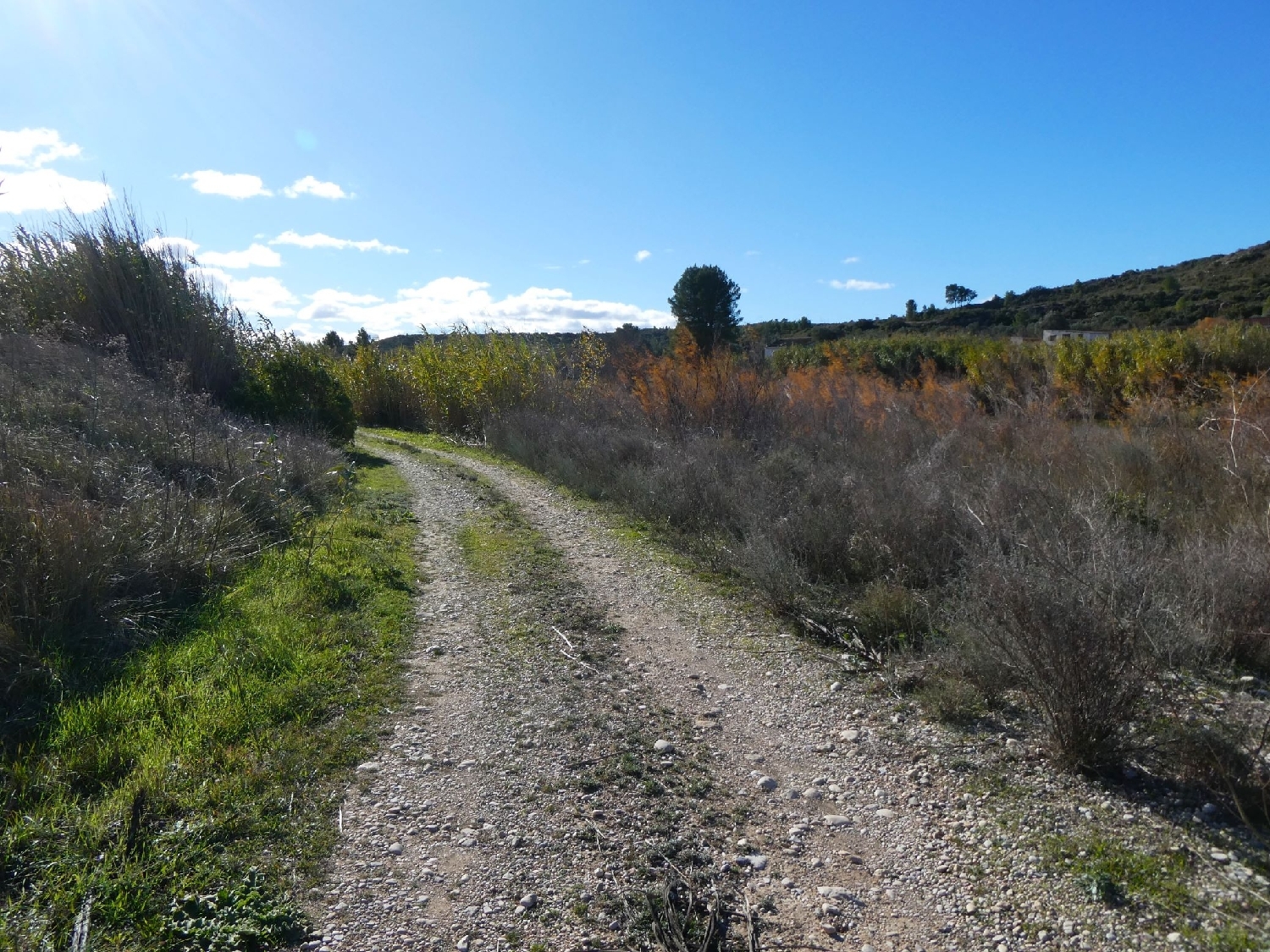  te koop boerderij Fabara Bajo Aragón-Caspe 2