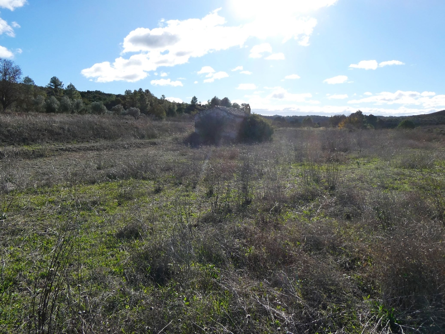  te koop boerderij Fabara Bajo Aragón-Caspe 3