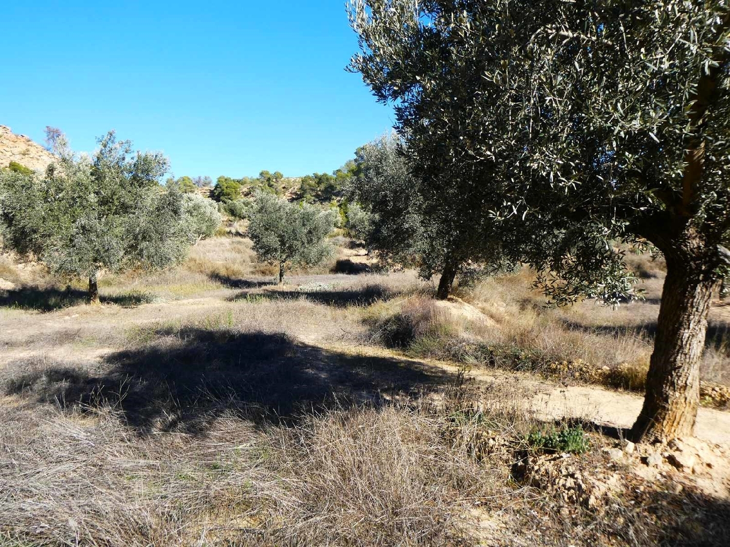  for sale country house Fabara Bajo Aragón-Caspe 11