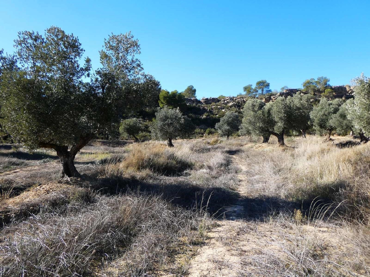  for sale country house Fabara Bajo Aragón-Caspe 5