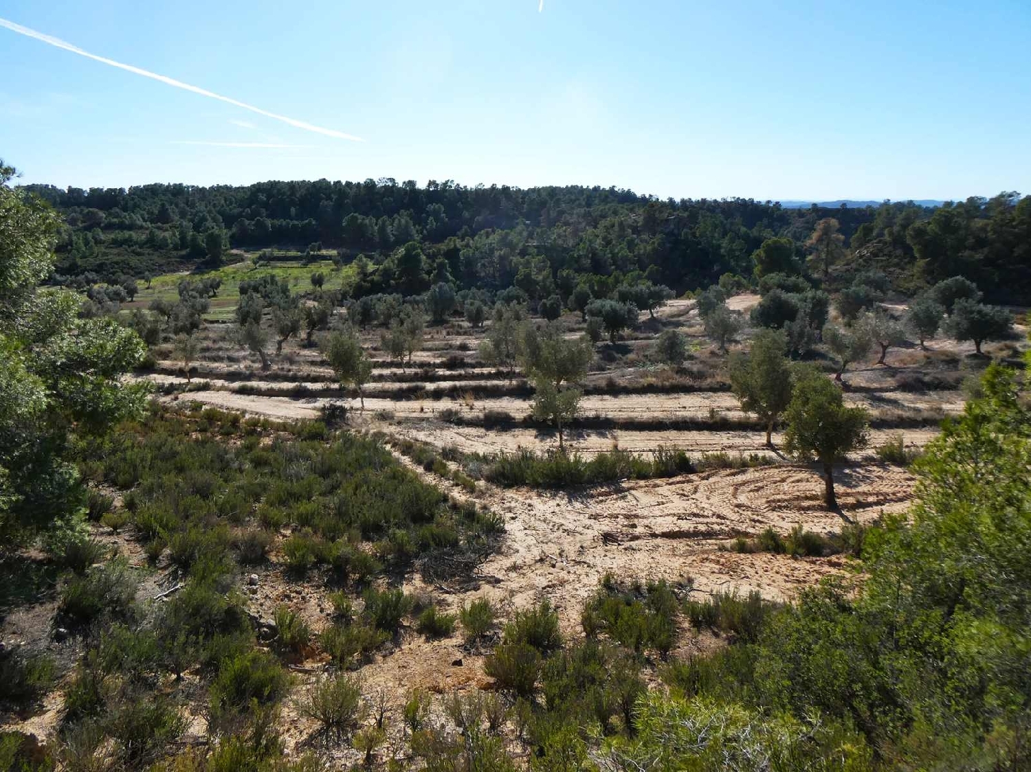  for sale country house Fabara Bajo Aragón-Caspe 1