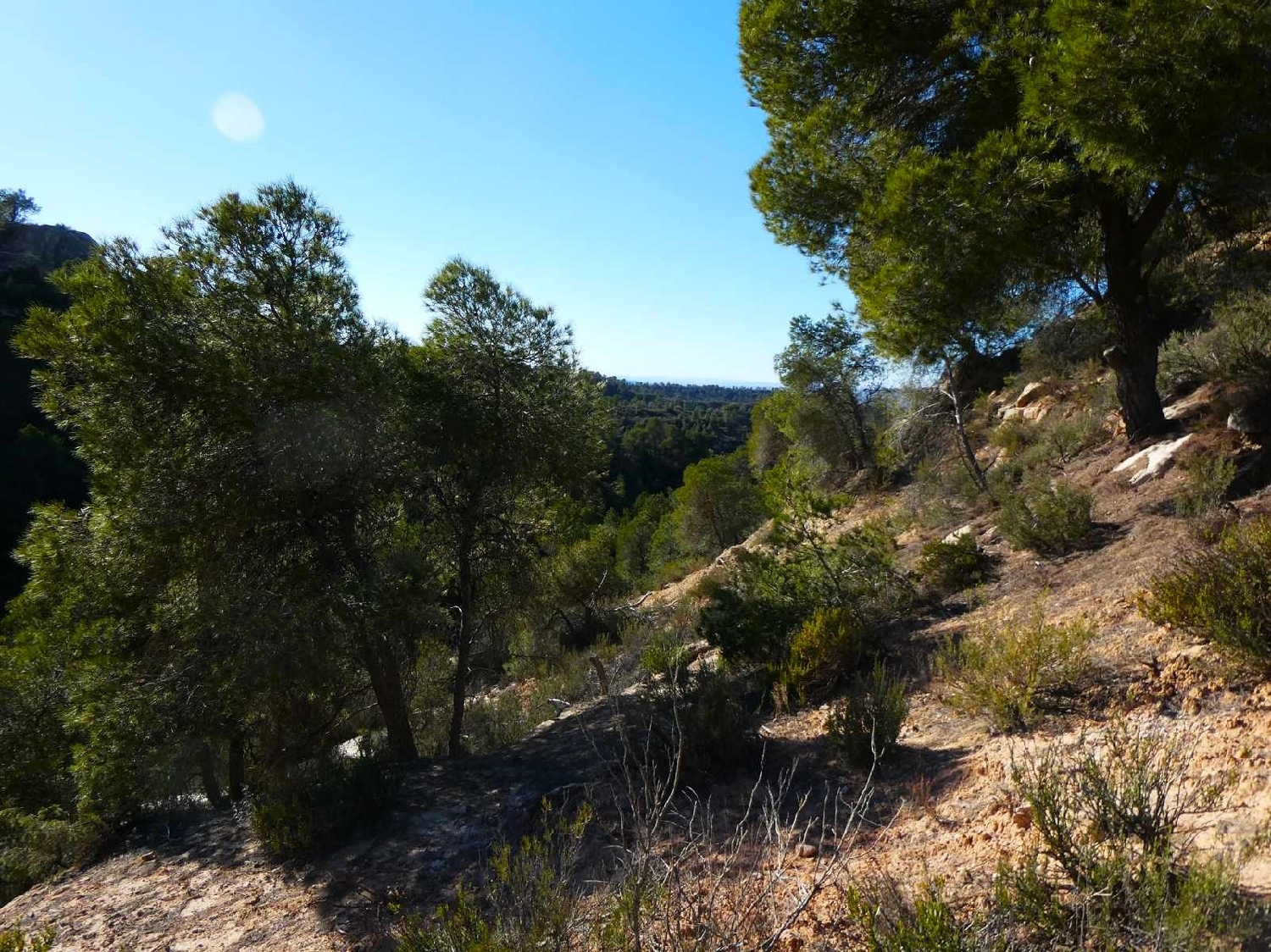  for sale country house Fabara Bajo Aragón-Caspe 14