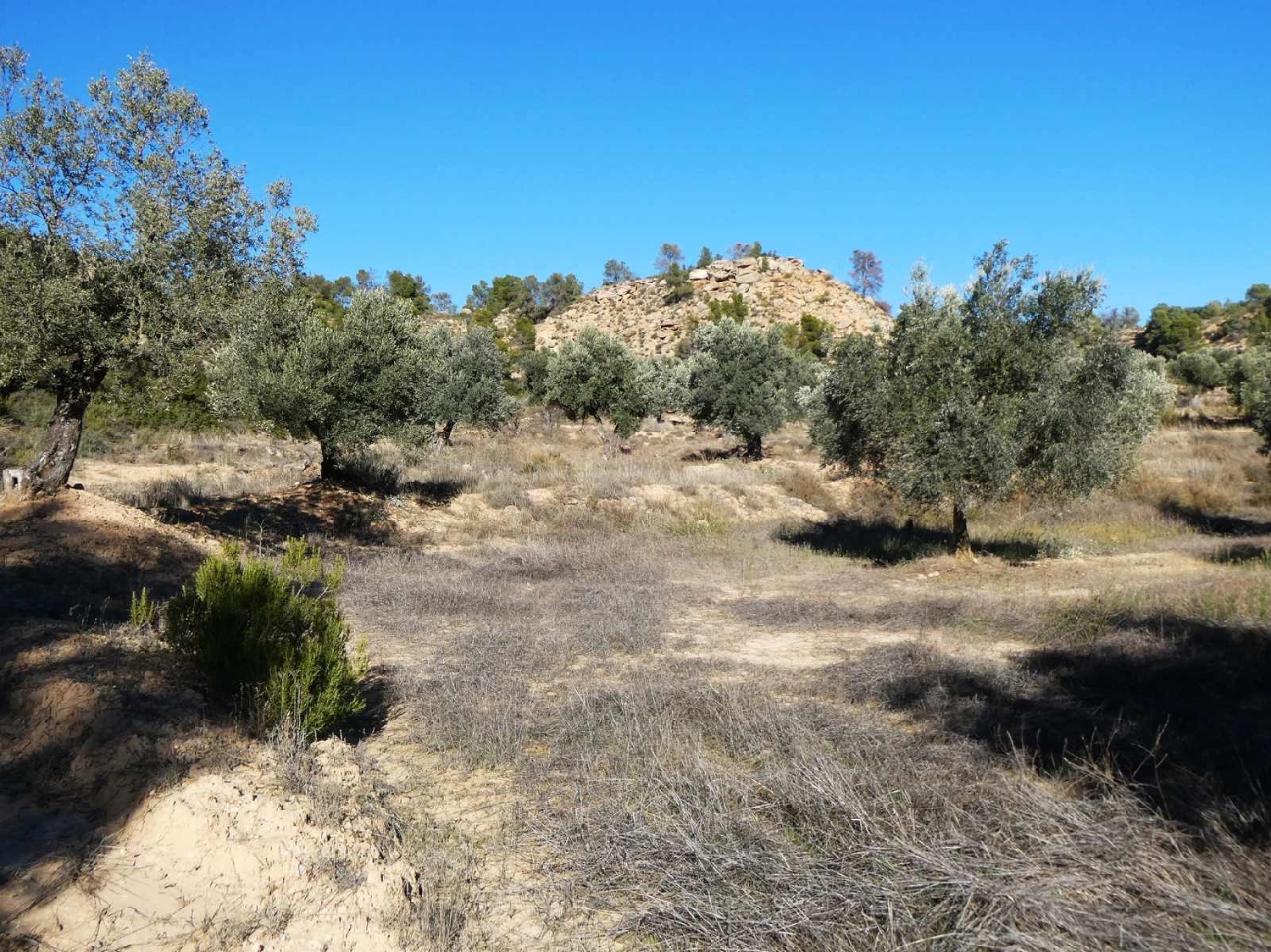  for sale country house Fabara Bajo Aragón-Caspe 12