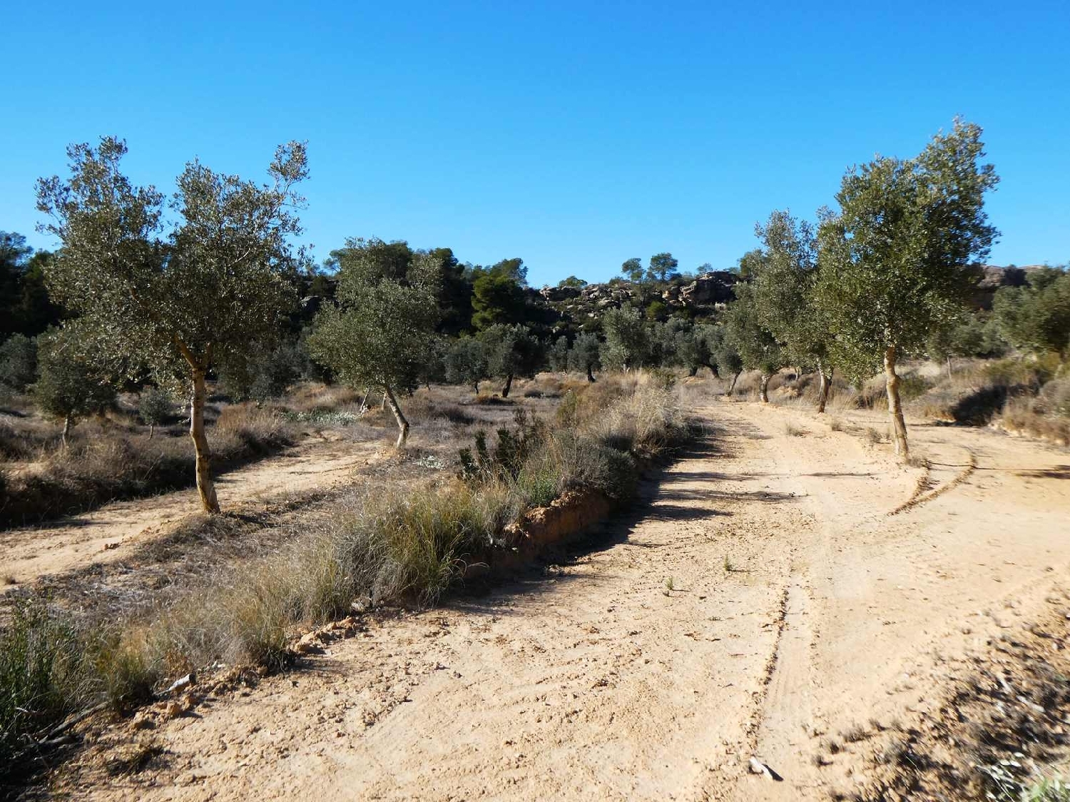  for sale country house Fabara Bajo Aragón-Caspe 2