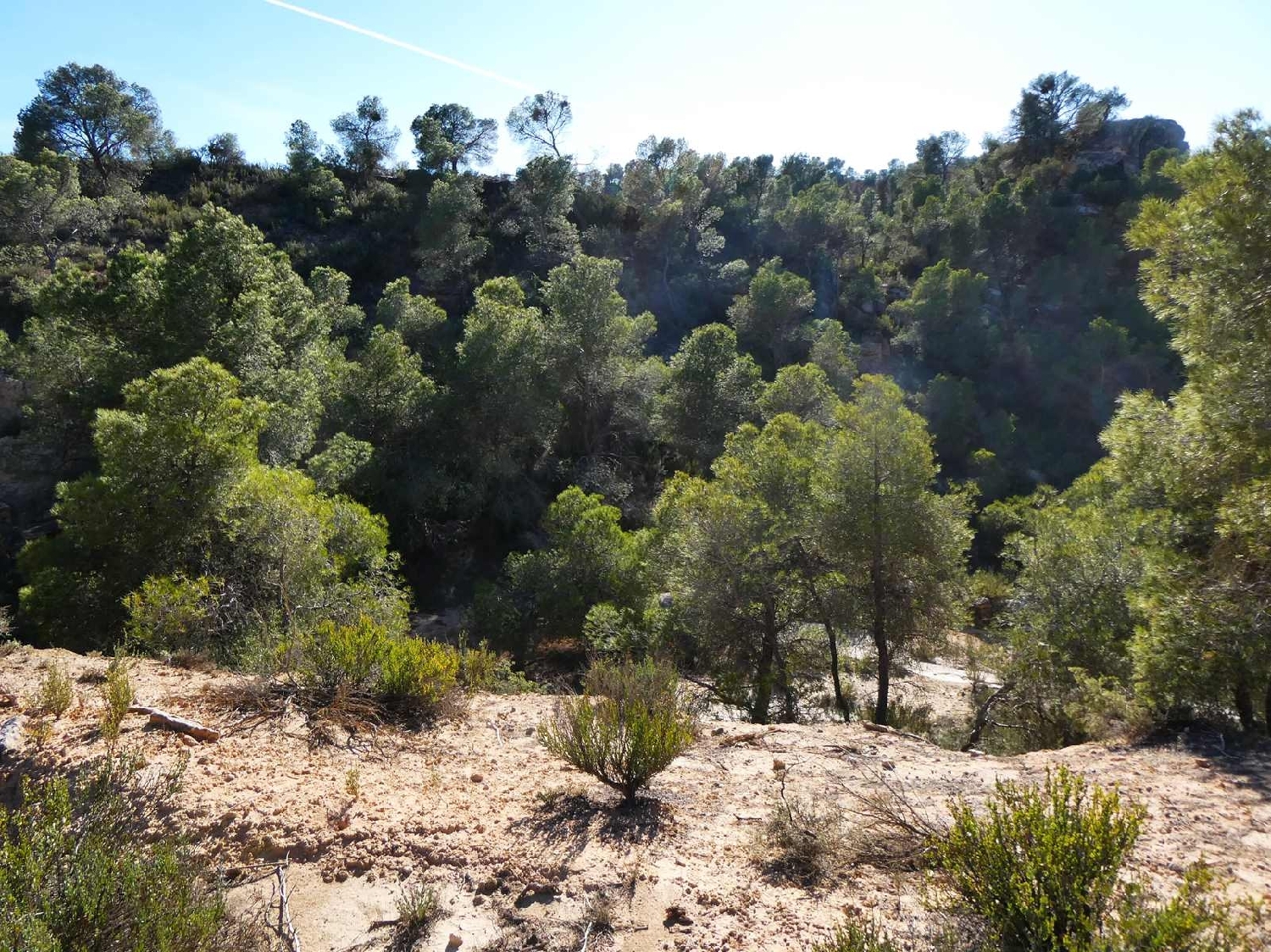  for sale country house Fabara Bajo Aragón-Caspe 15