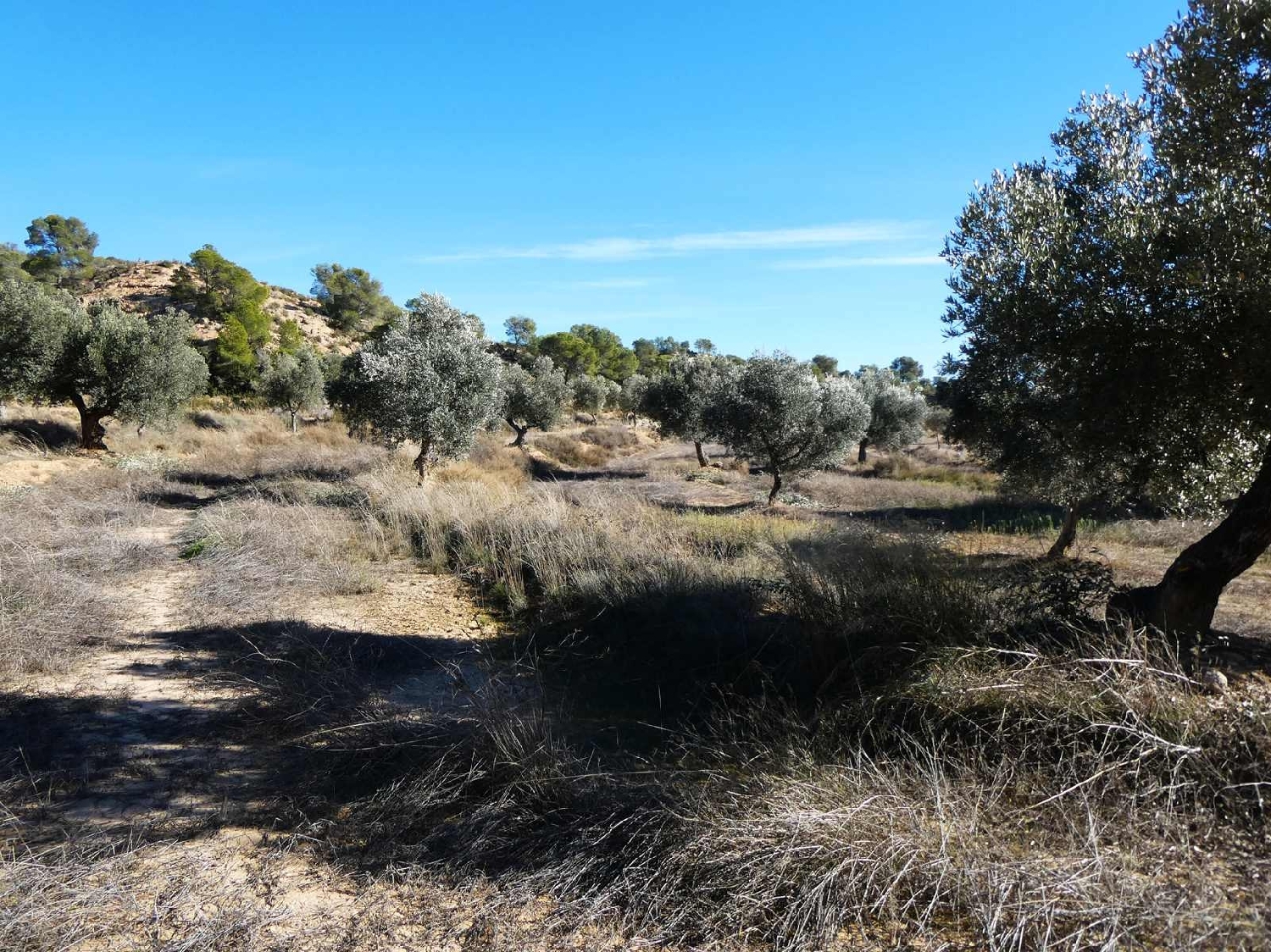  for sale country house Fabara Bajo Aragón-Caspe 8