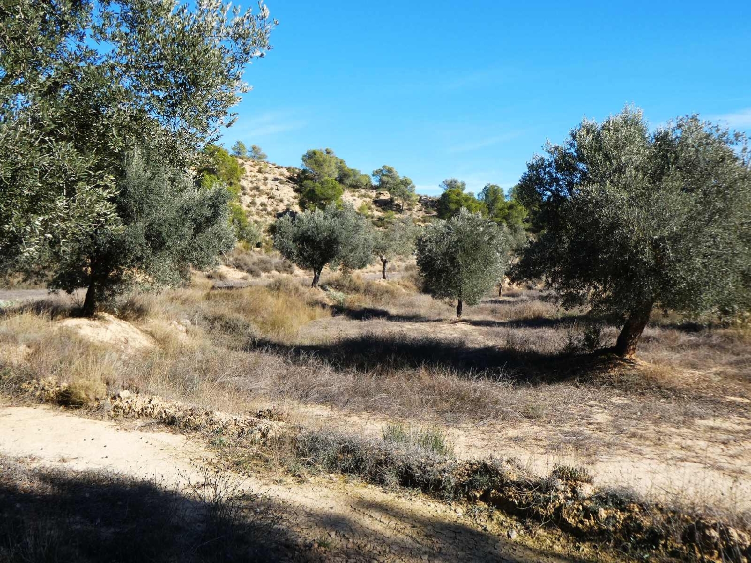  for sale country house Fabara Bajo Aragón-Caspe 13