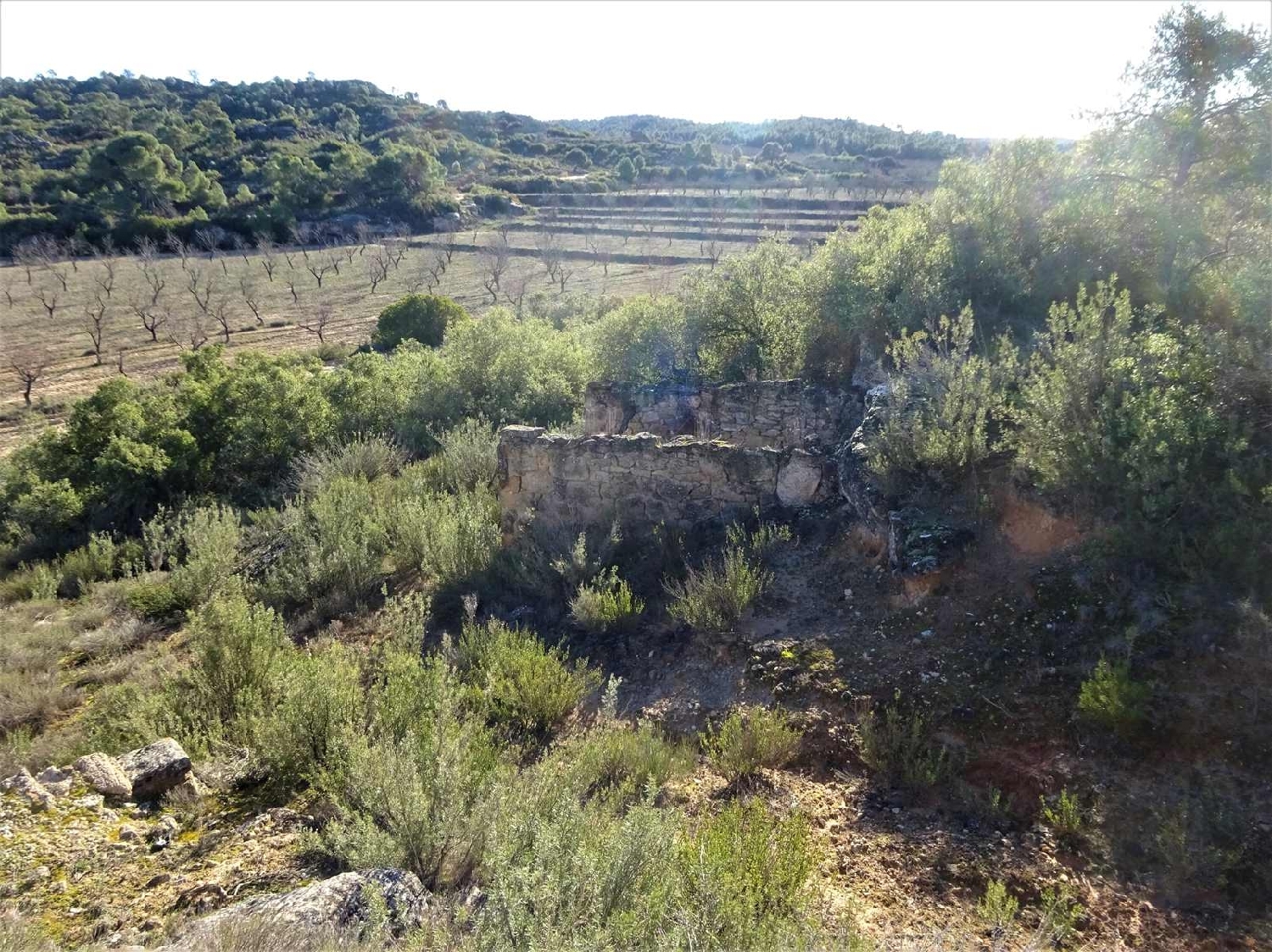  for sale country house Fabara Bajo Aragón-Caspe 8