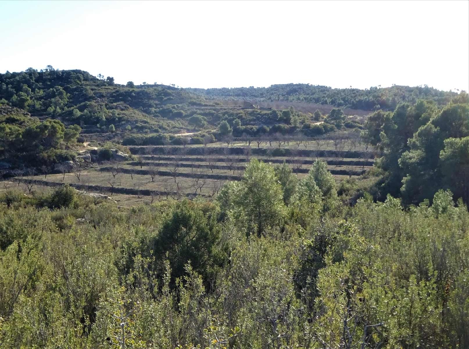  for sale country house Fabara Bajo Aragón-Caspe 13