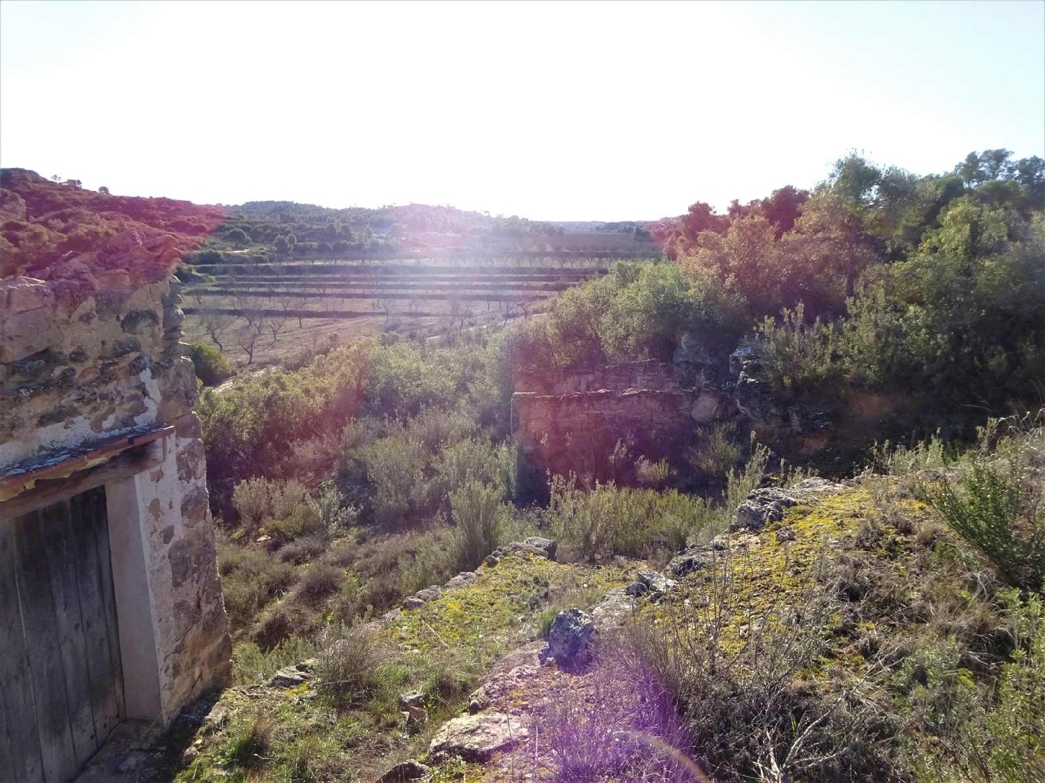  for sale country house Fabara Bajo Aragón-Caspe 7