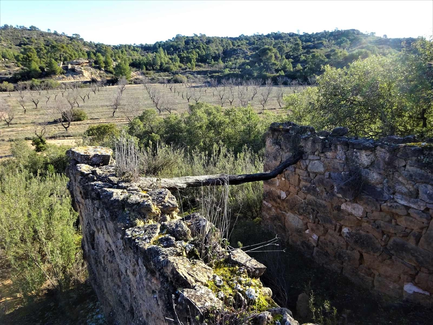  for sale country house Fabara Bajo Aragón-Caspe 11