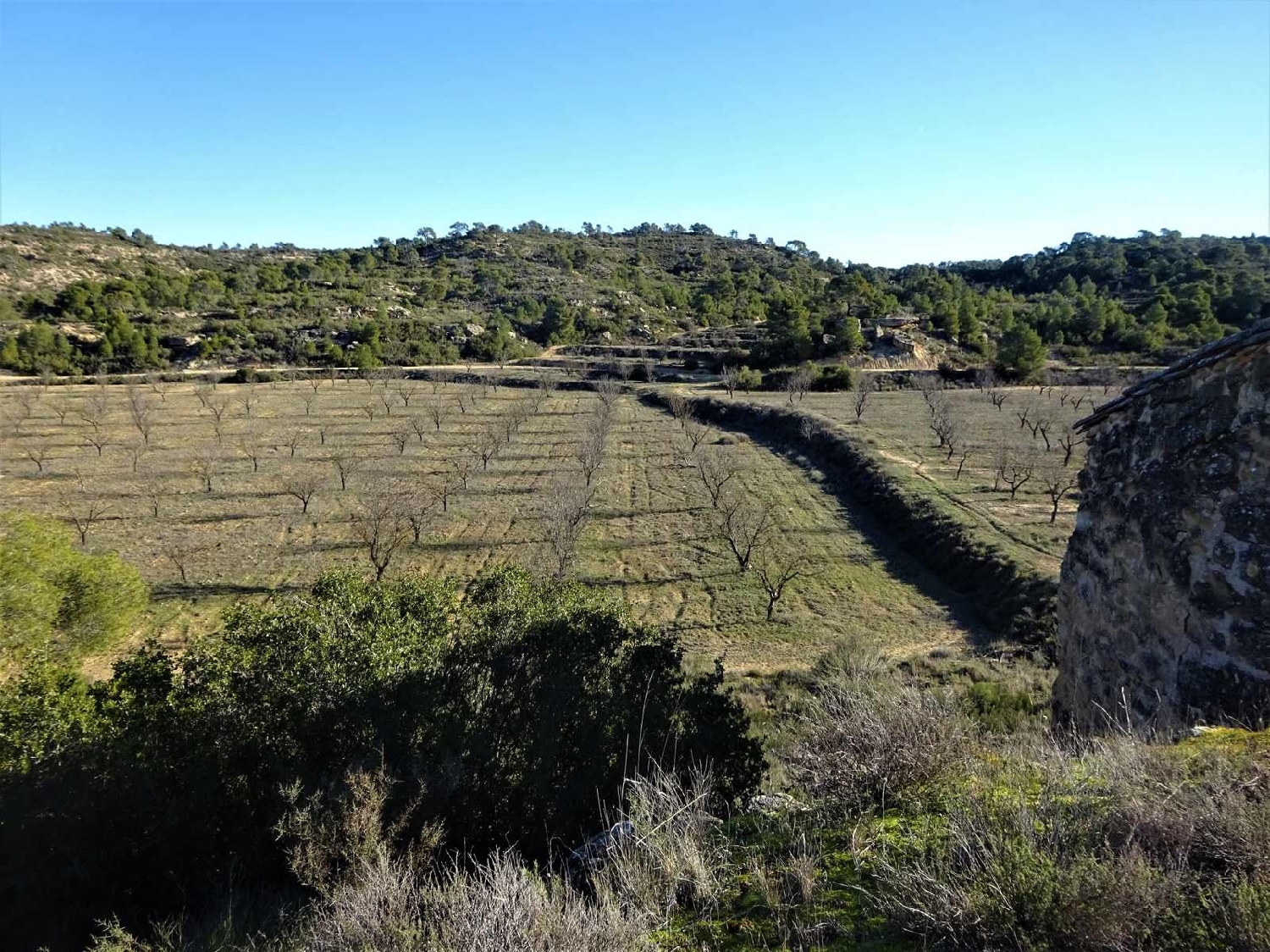  for sale country house Fabara Bajo Aragón-Caspe 6