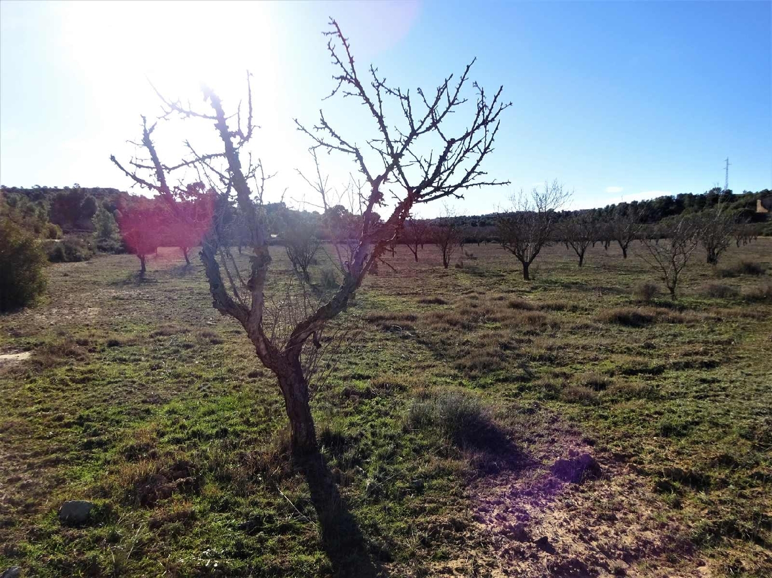  for sale country house Fabara Bajo Aragón-Caspe 3