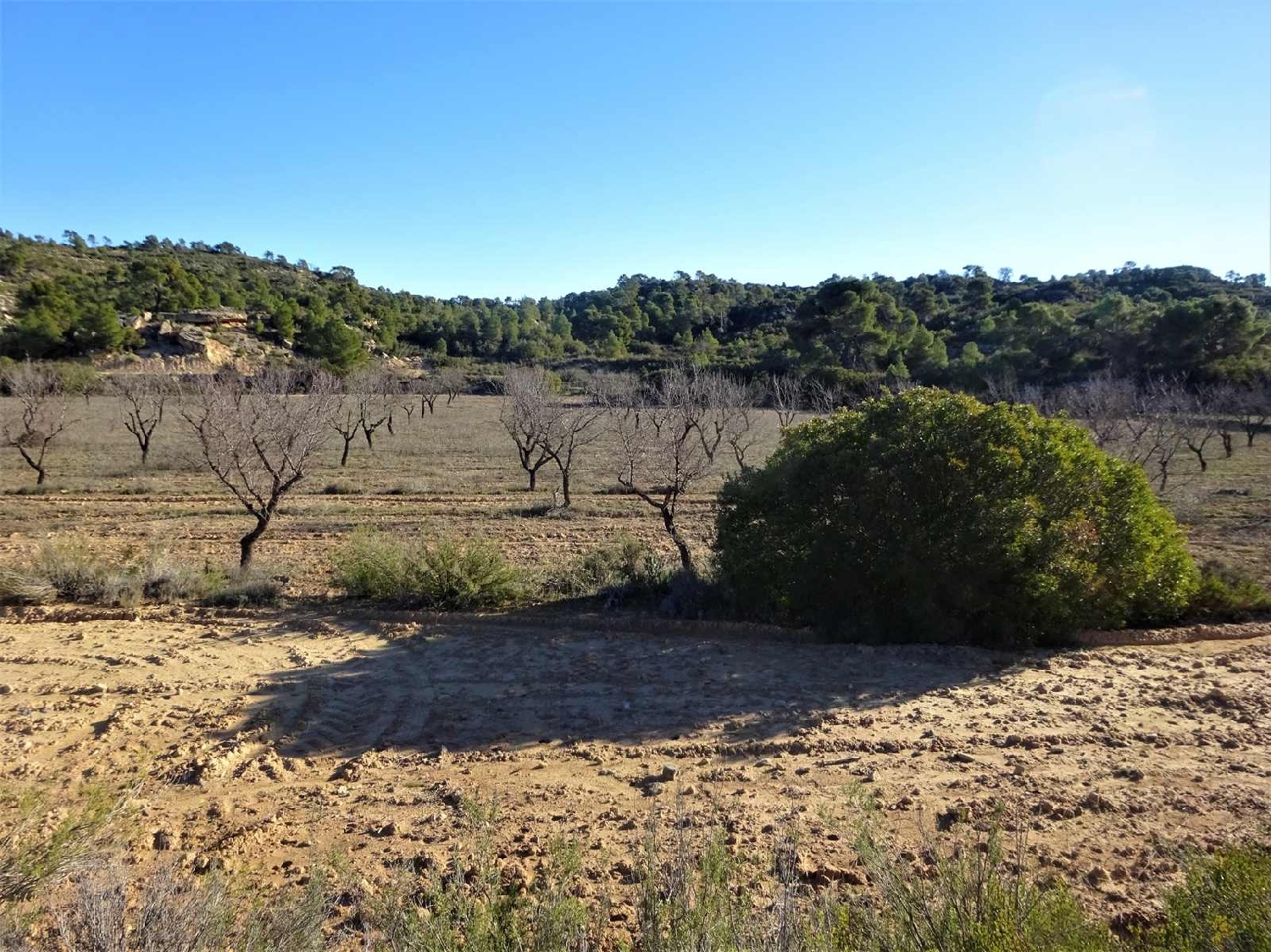  for sale country house Fabara Bajo Aragón-Caspe 15