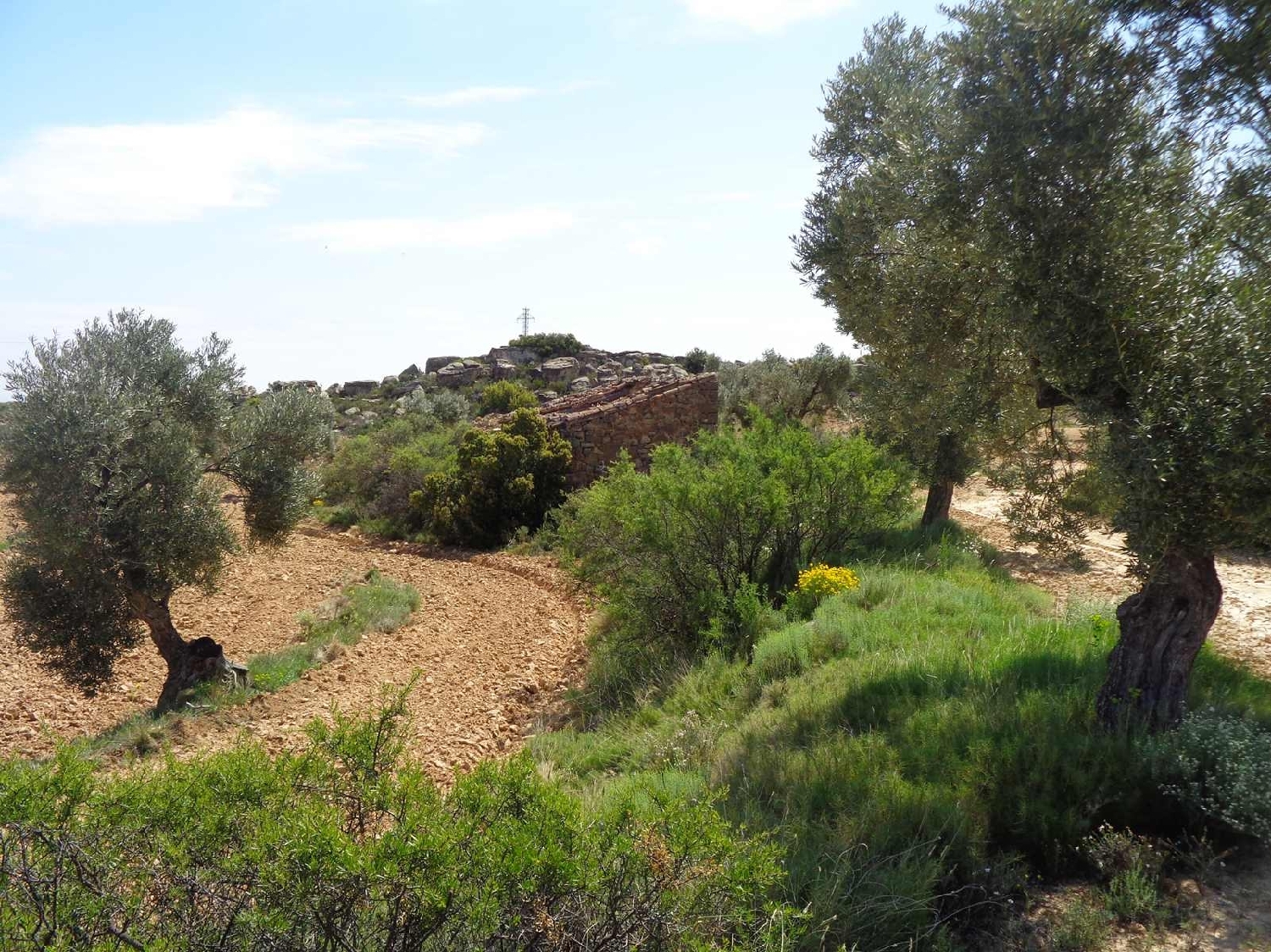  for sale country house Maella Bajo Aragón-Caspe 6