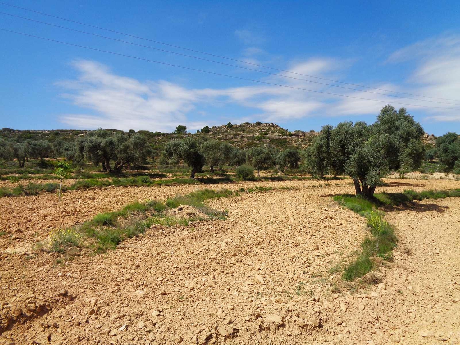  for sale country house Maella Bajo Aragón-Caspe 14