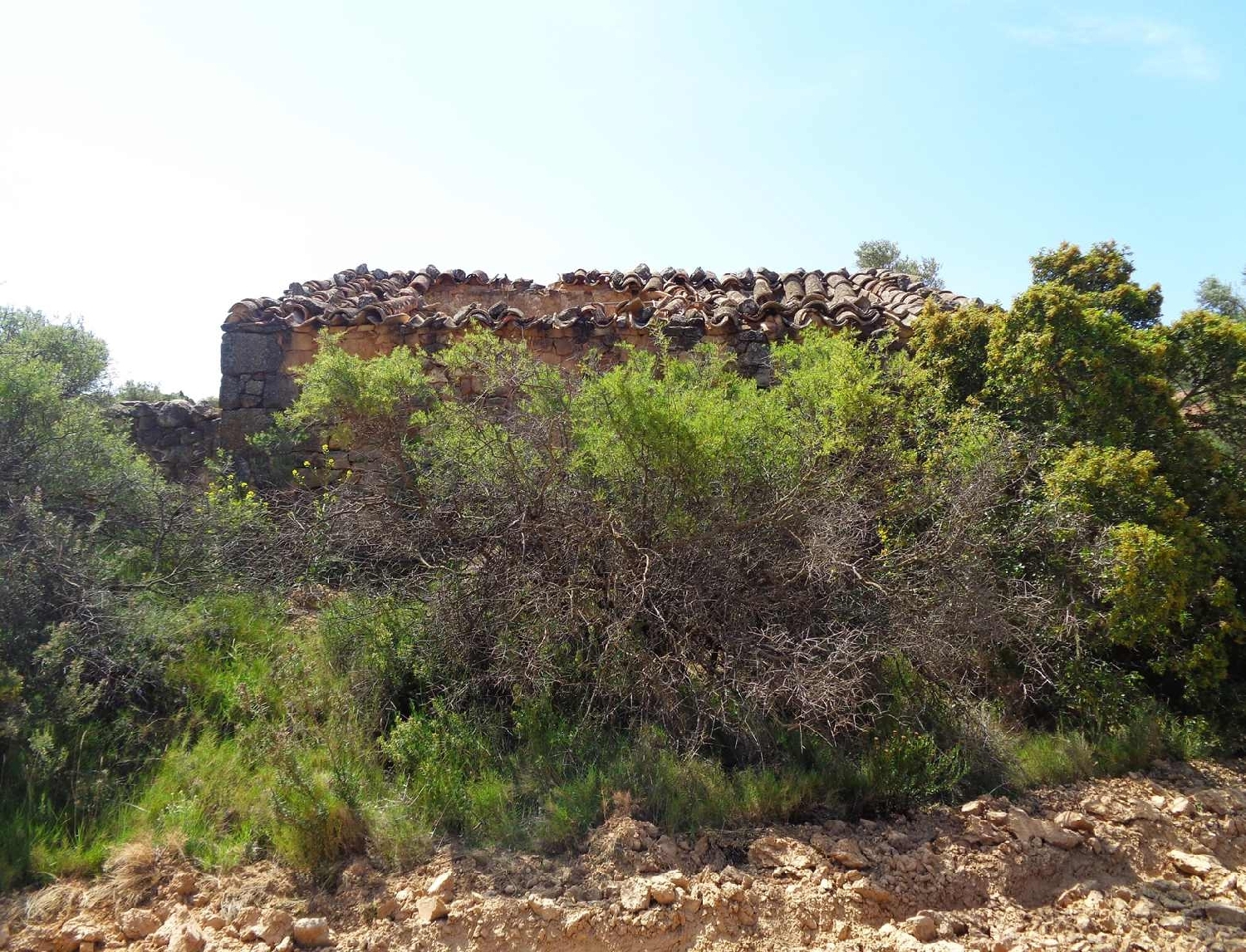  for sale country house Maella Bajo Aragón-Caspe 12