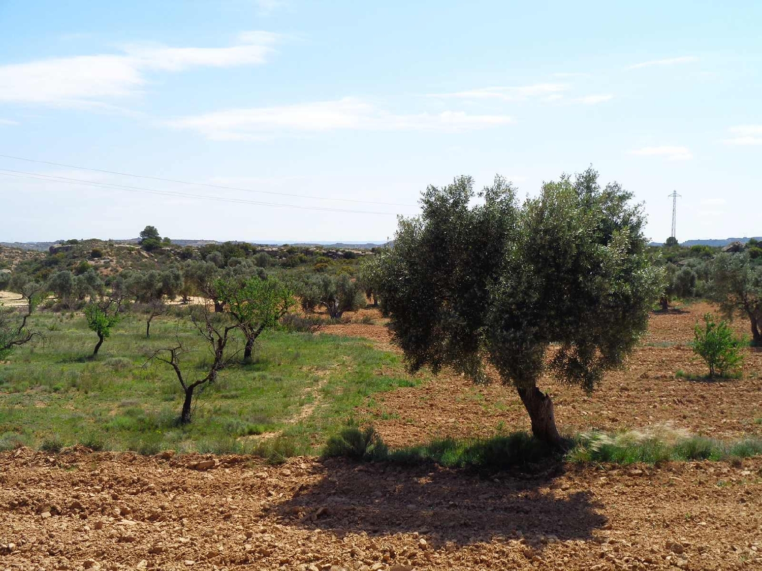  for sale country house Maella Bajo Aragón-Caspe 15