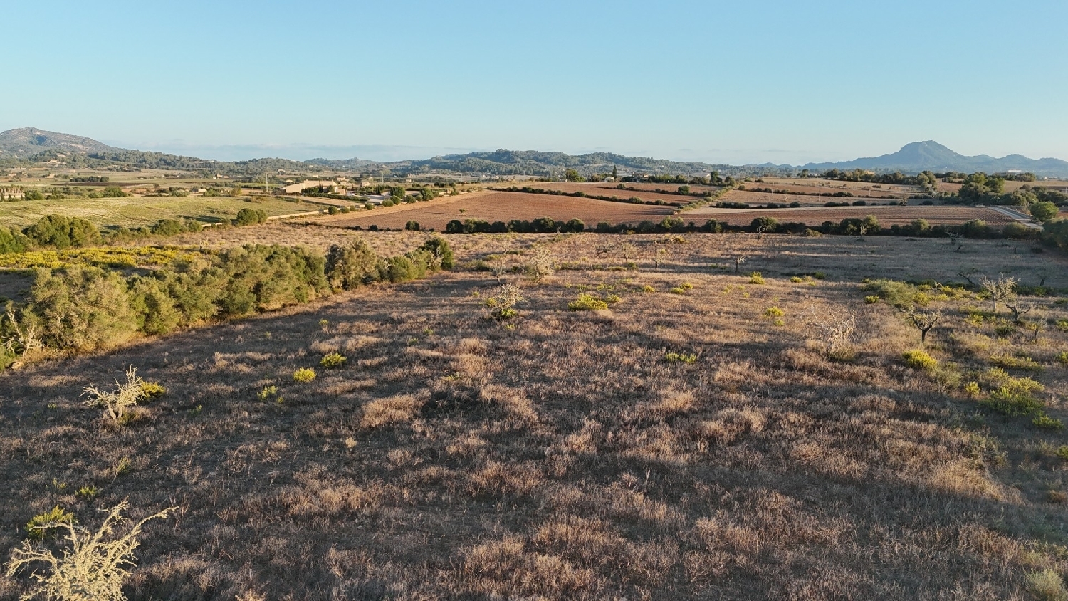 à vendre maison de campagne Manacor Llevant 16
