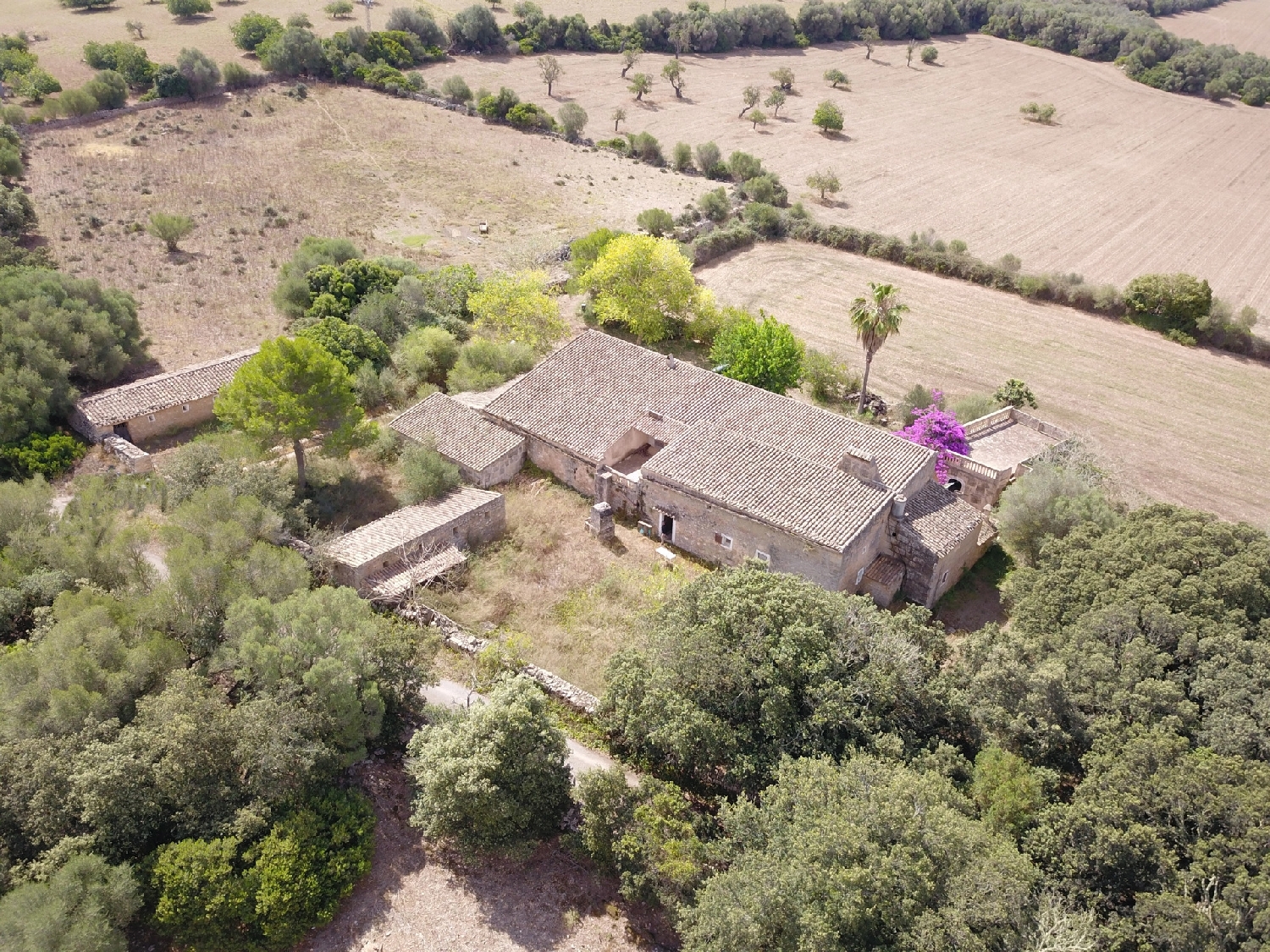  for sale country house Manacor Llevant 6